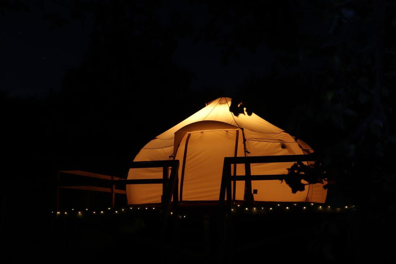 Flore'S Garden Glamping Bran  Exterior photo